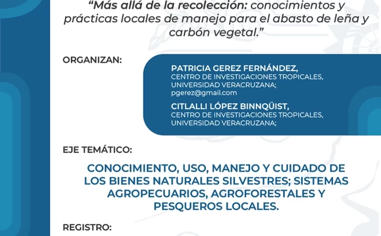  Más allá de la recolección: conocimientos y prácticas locales de manejo para el abasto de leña y carbón vegetal.