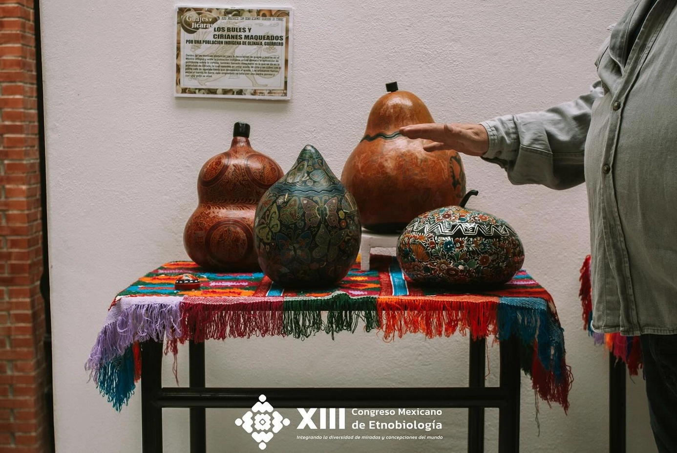 congreso-etnobiologia33